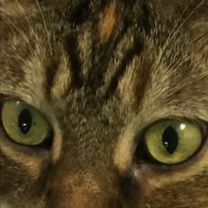 Meet your Posher, Beth